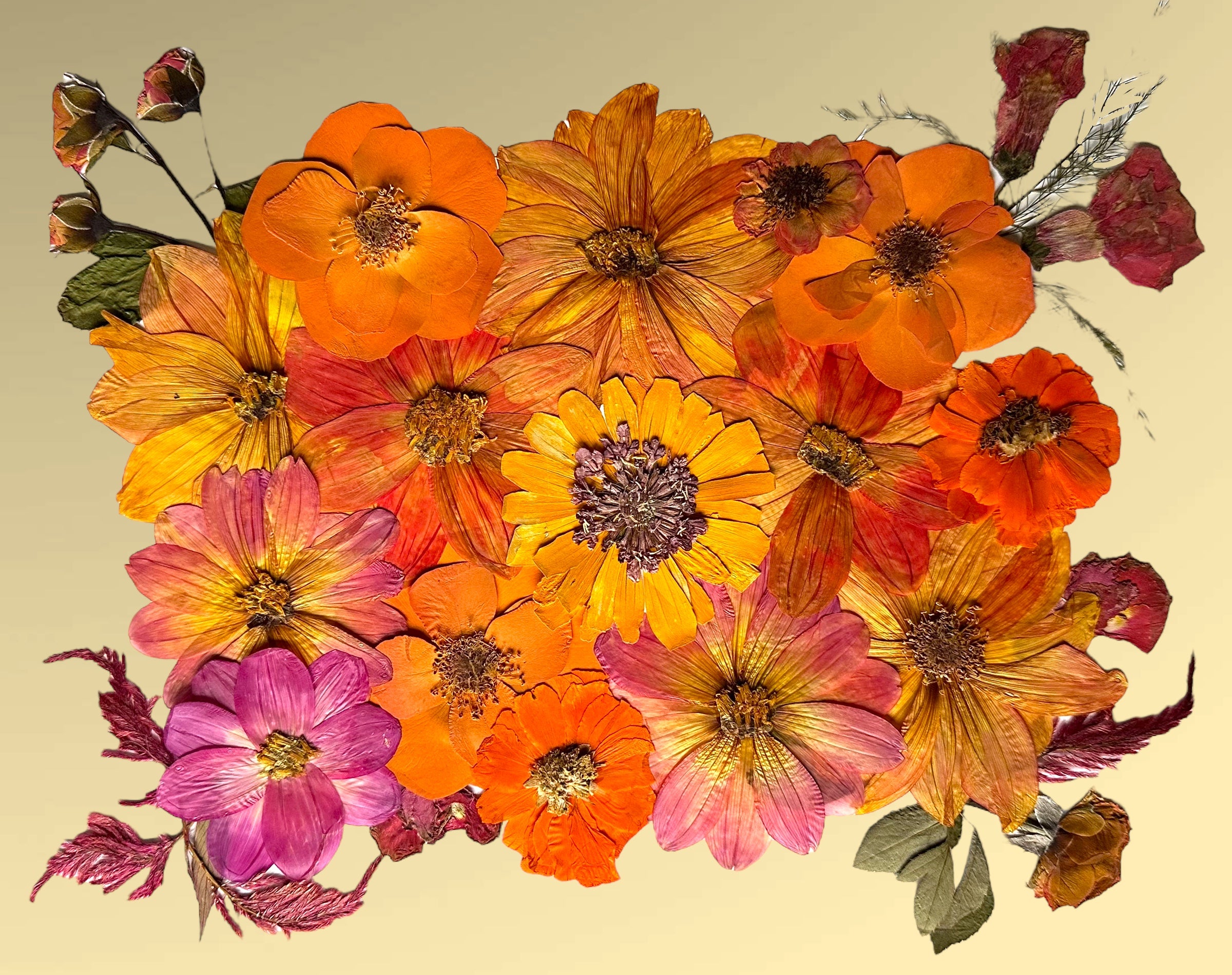 Preserving Petals Booking Flower Preservation Services With Exclusive preserving-petals-booking-flower-preservation-services-with-exclusive