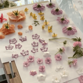 3 Day immersive flower pressing course