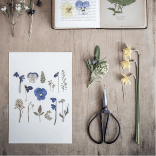 flower pressing workshops and kits