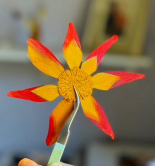Why Color Correction Matters in Flower Preservation