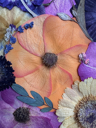 Floral Preservation Design Revision Policy: Important Information for Pressed Flowers Build and Floral Art Design