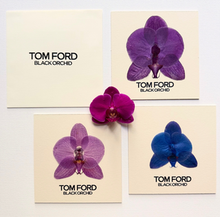 Behind the scenes: Flower preservation for Tom Ford’s Black Orchid Campaign