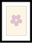 Mat