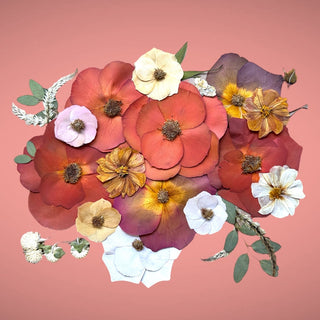 Image showcasing pressed flowers created by Vancuterie Floral Preservation Studio in Washington