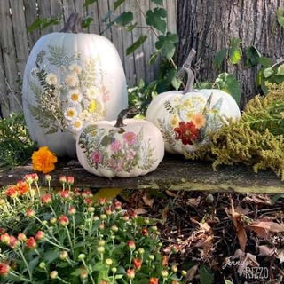 Pumpkins and Pressed Flowers