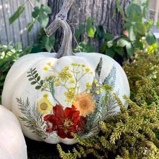 Pumpkins and Pressed Flowers